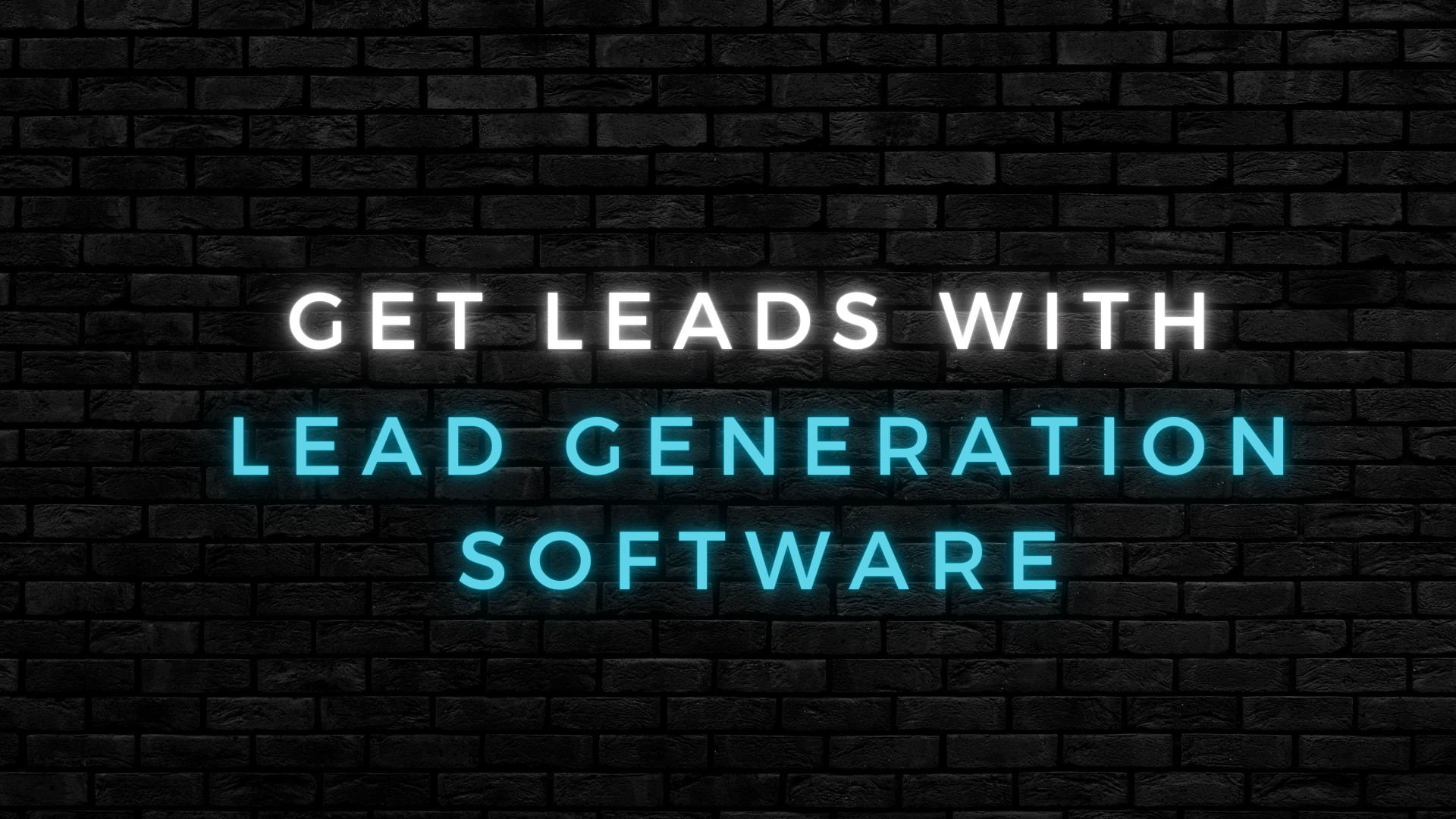 Lead Generation Software in Black Friday